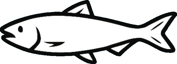 The salmon from the base of the Donnelly arms